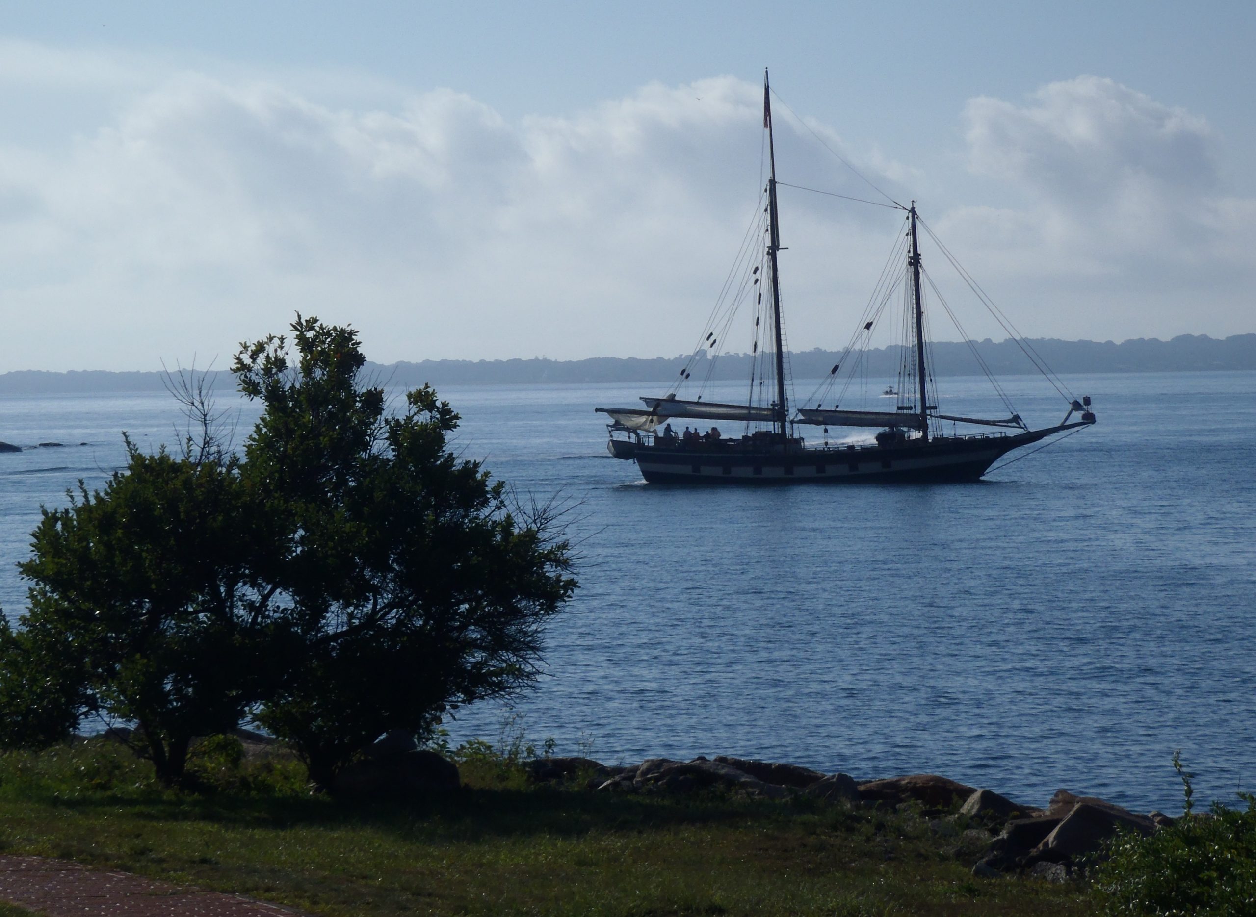 Coastline in foreground with large bush on left.  Blue water beyond with a sailing vessel on the water